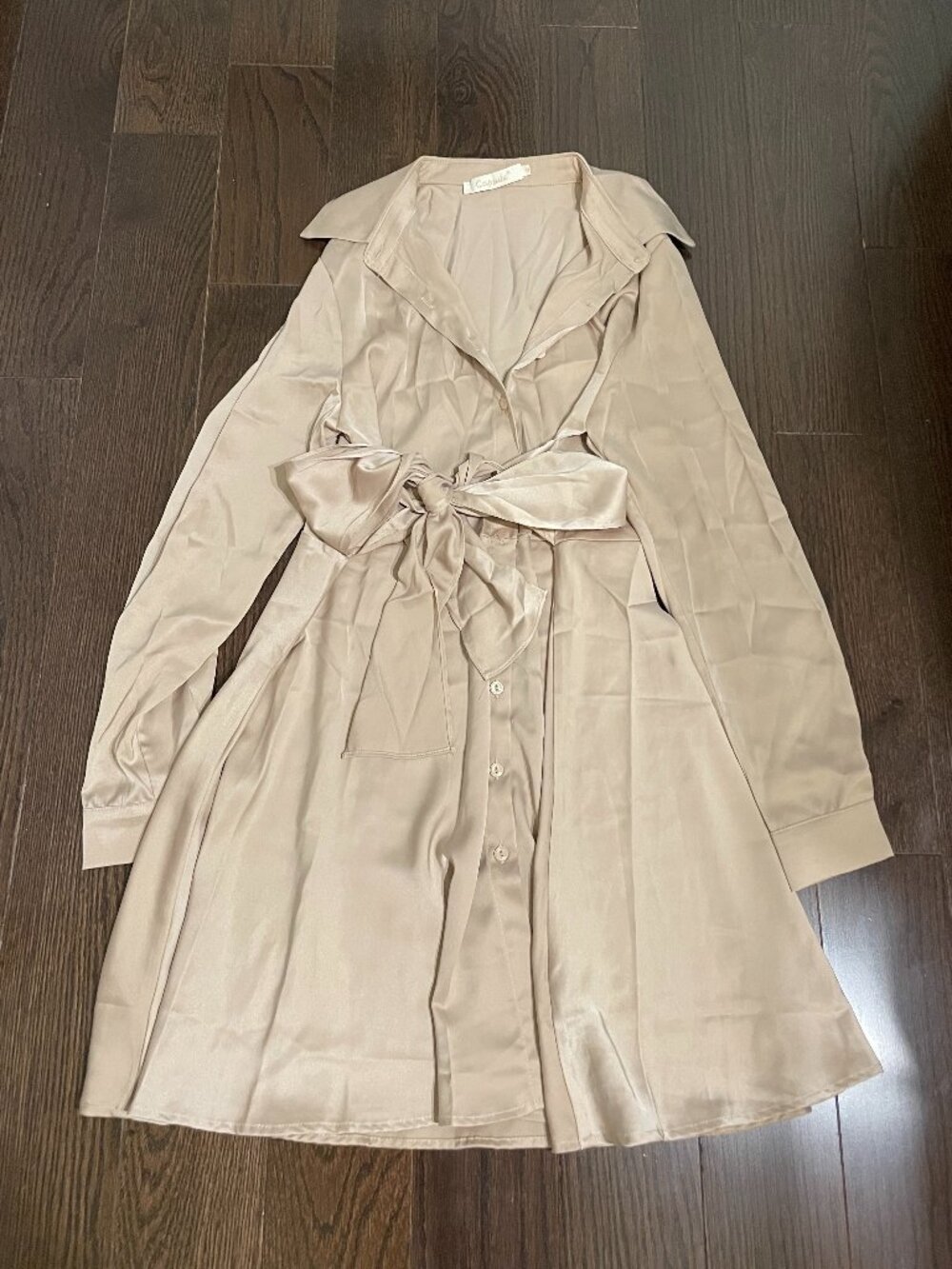 Capsule Champagne Satin Long Sleeve Tie-Waist Shirt Dress